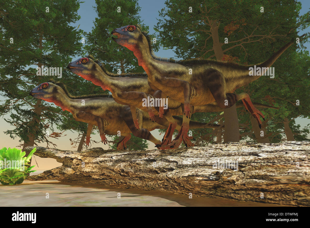 Hypsilophodon war ein pflanzenfressender Dinosaurier aus der Jura- und Kreidezeit Epochen. Stockfoto