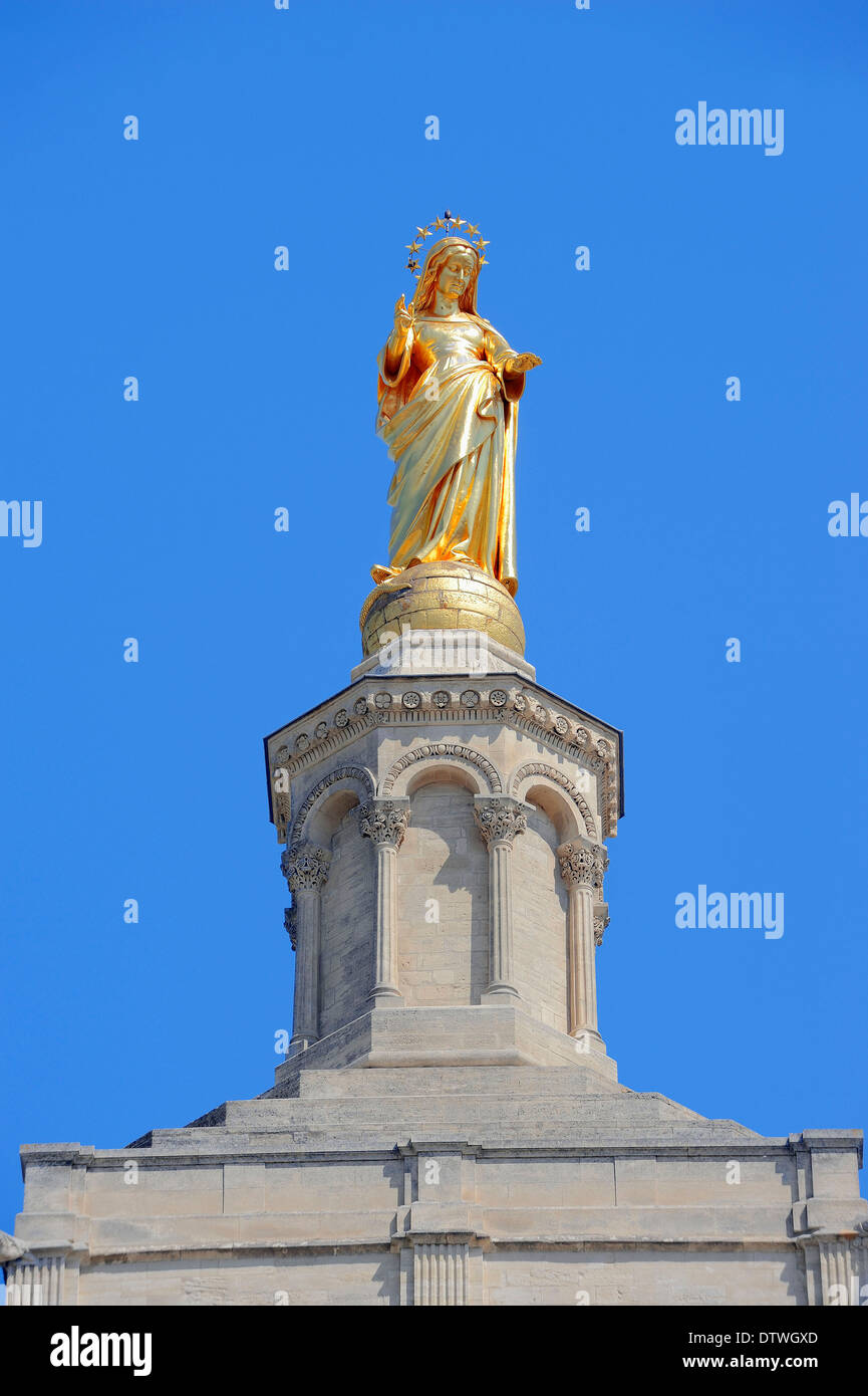 Kathedrale Notre-Dame des Doms, Avignon Stockfoto