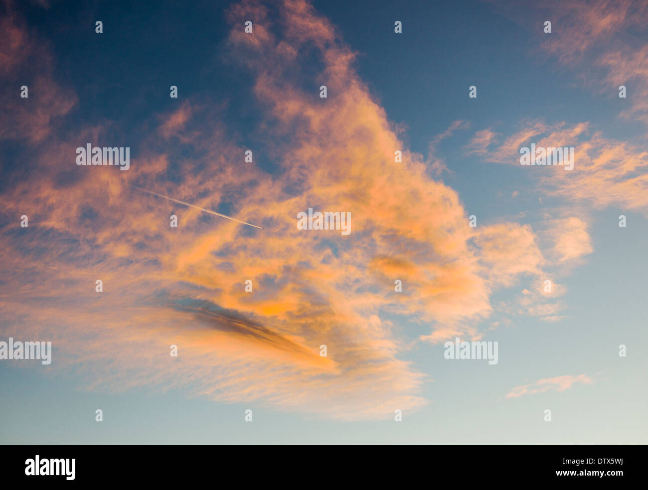 Jet Kondensstreifen und rosa Wolken gegen Sonnenuntergang Himmelblau in Colorado, USA Stockfoto