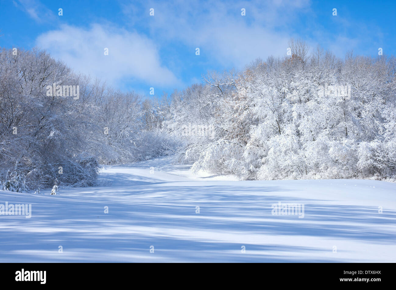 Marthaler Park Hügel bedeckt mit frisch gefallenem Schnee in West Saint Paul, Minnesota Stockfoto