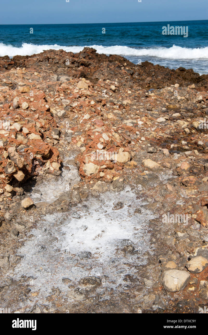 Salz auf den Felsen nach der Verdunstung des Meerwassers bilden. Spanien. Stockfoto