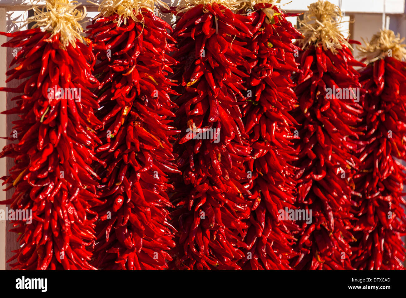 Rot, Girlanden hängen Chilischoten als Hintergrund Stockfoto