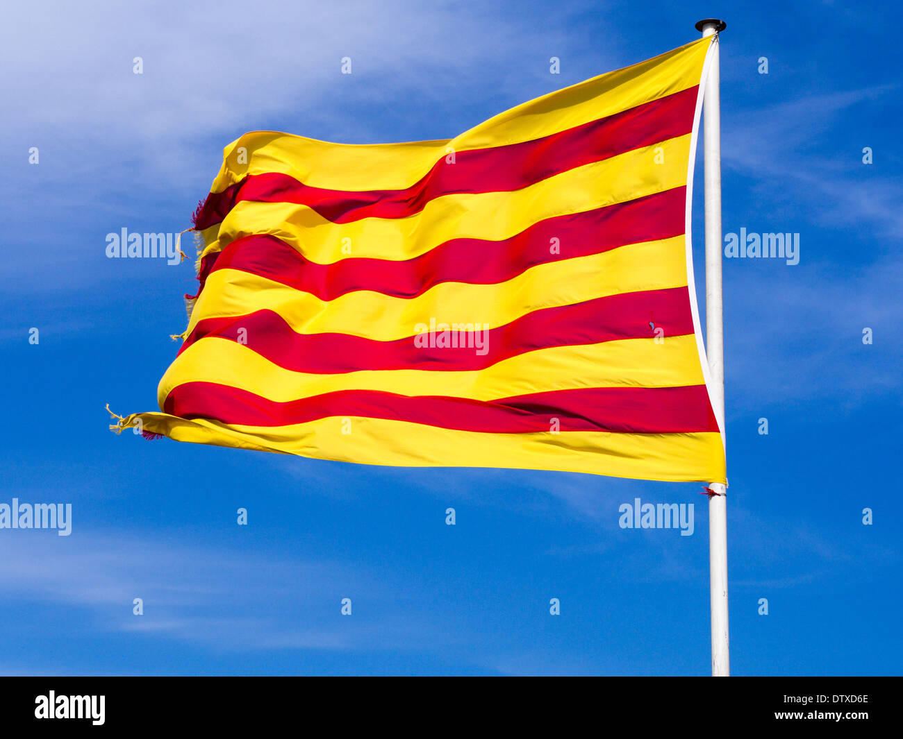 Katalanische Flagge gegen ein strahlend blauer Himmel. Die Flagge von Katalonien glänzt in der Sonne auf einem weißen Pfosten. Leicht ausgefranst. Stockfoto