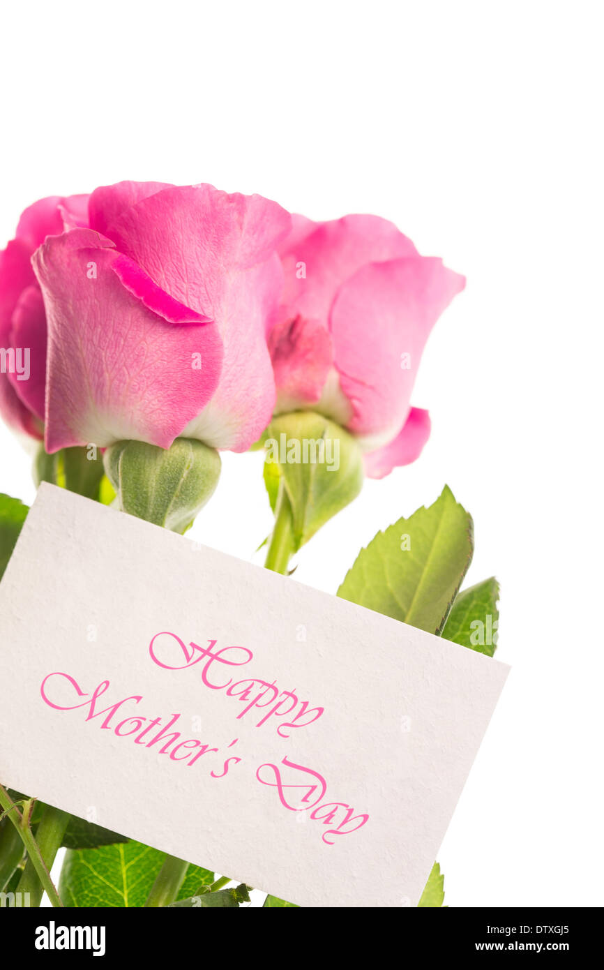 Glückliche Mütter-Tageskarte mit rosa Rosen Stockfoto