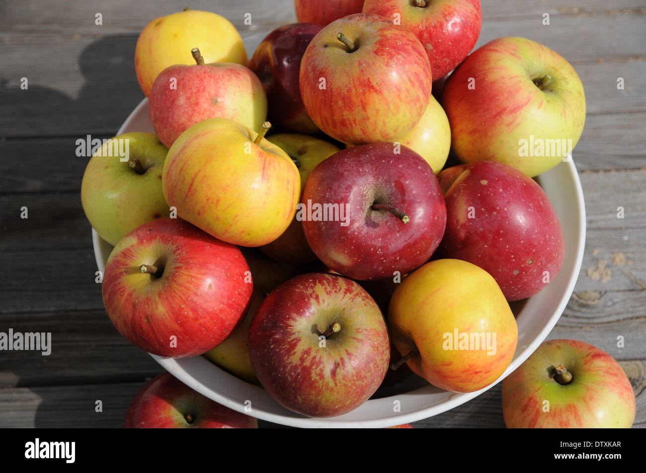 Äpfel Stockfoto