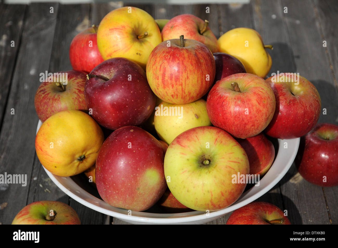 Äpfel Stockfoto
