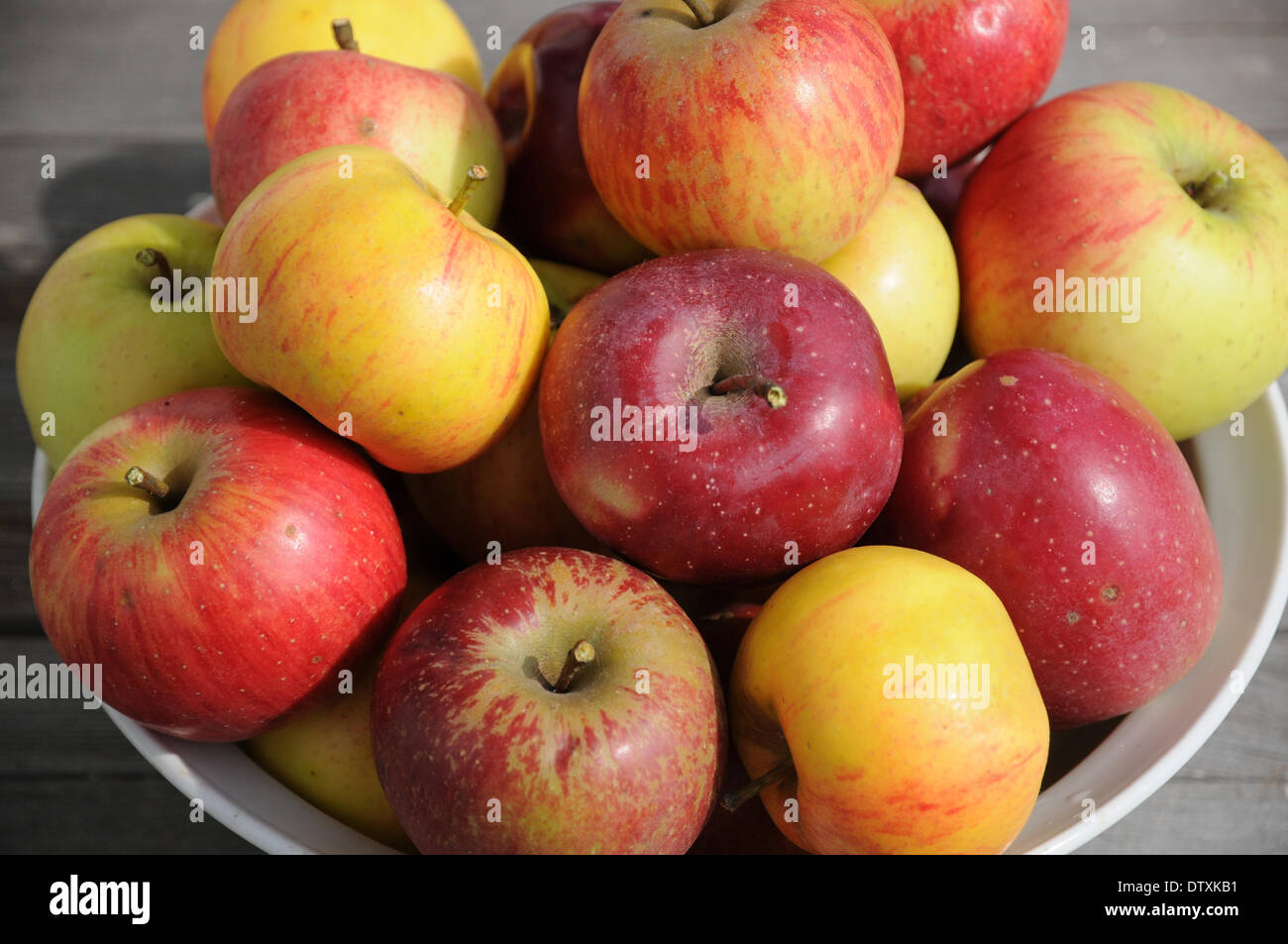 Äpfel Stockfoto