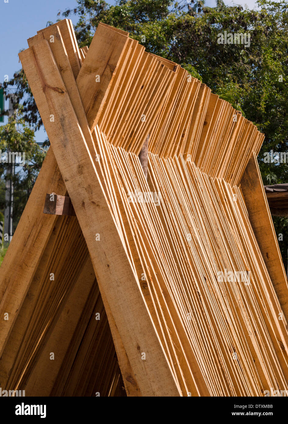 Holzbretter zum Trocknen gestapelt. Ein Stapel von frisch gesägten Brettern Stand up zum Trocknen an einem lokalen Tulum Sägewerk. Stockfoto