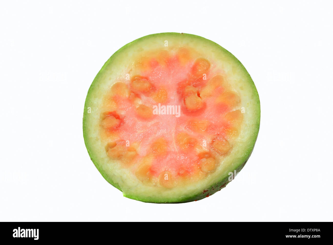 Gemeinsamen Guave Stockfoto