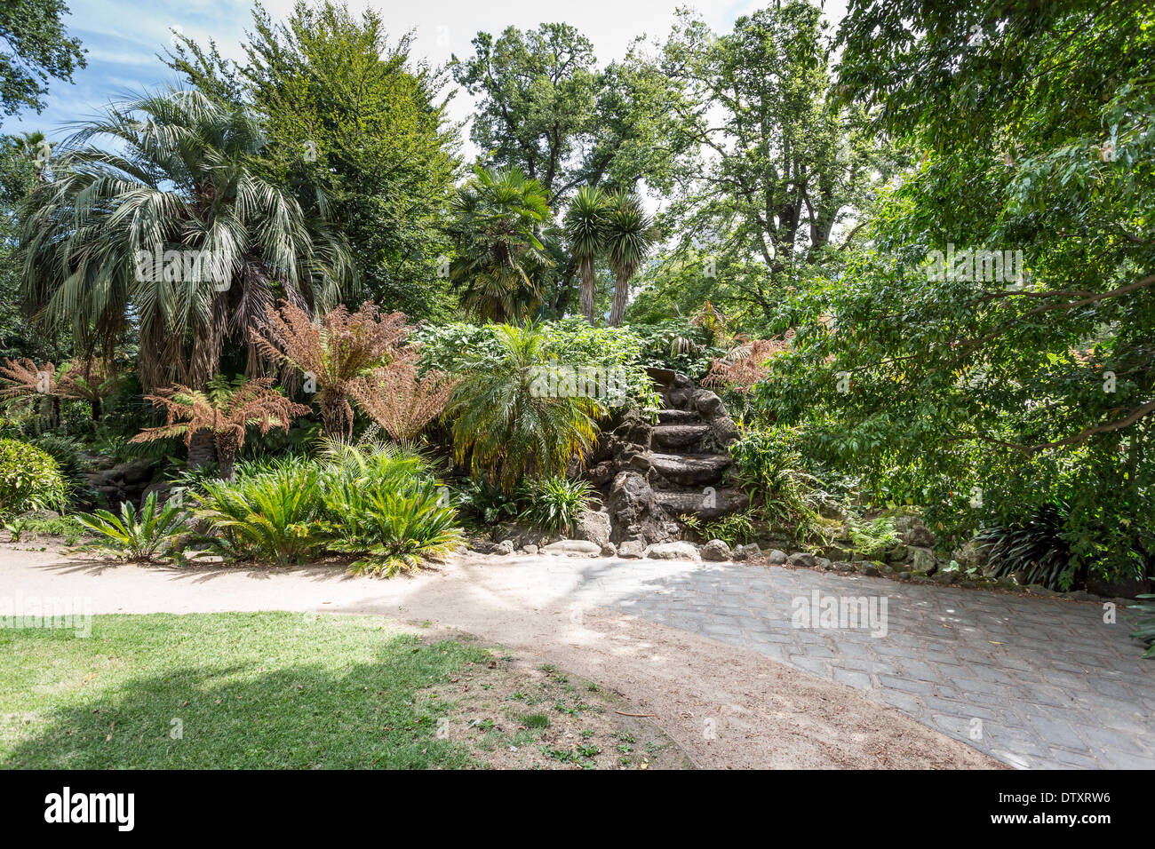 Pfad in Fitzroy Gardens Melbourne Stockfoto