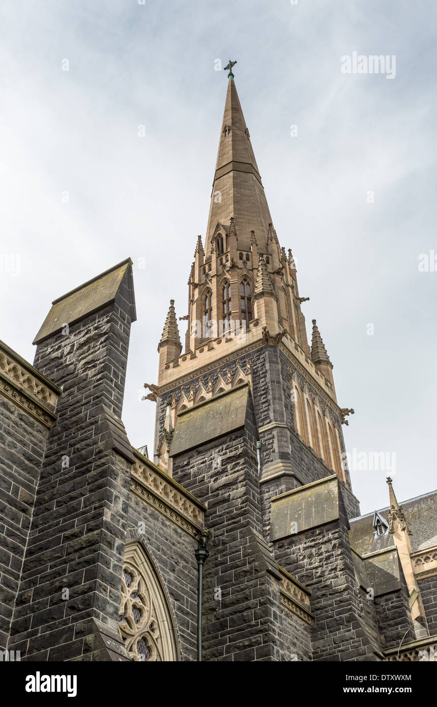 St. Patricks Kathedrale, die Kathedrale des römisch-katholischen Erzbistums Melbourne in Victoria, Australien Stockfoto