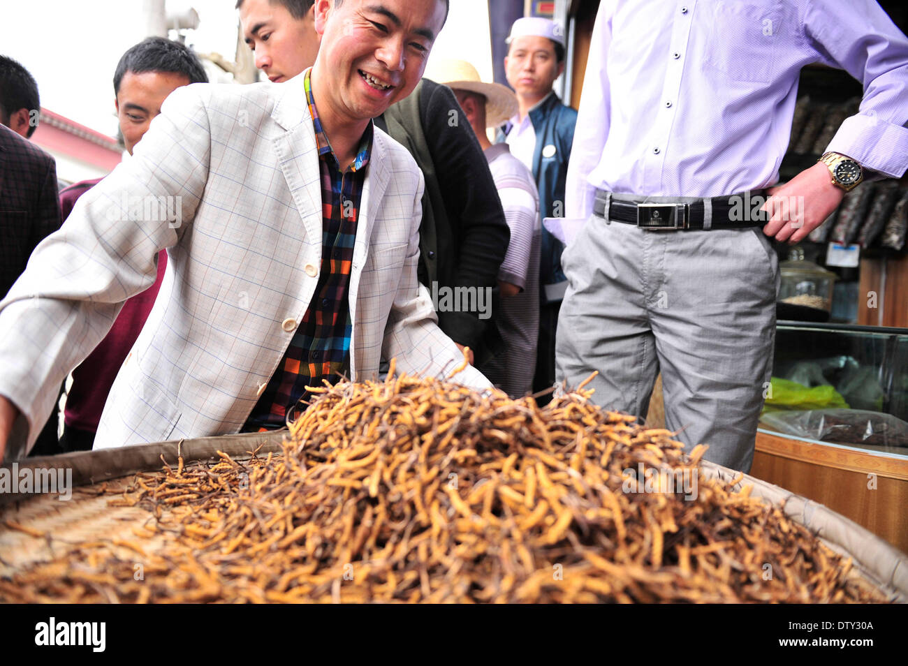 Lhasa, China Tibet autonome Region. 17. Juli 2013. Ein Händler zeigt Raupe Pilze, auch genannt Winter Wurm Sommer Kraut, auf eine Raupe Pilz Markt in Lhasa, der Hauptstadt der Südwesten Chinas Tibet autonome Region, 17. Juli 2013. Caterpillar Pilz, ein parasitärer Pilz, der von den Leichen der Geist Motte Larve, Sprossen kann für etwa 10 US-Dollar für ein 1-Zentimeter-Durchmesser Stück verkaufen. 2013 erhöht die Ausbeute an Caterpillar Pilze in Tibet von 50 Prozent gegenüber dem Vorjahr auf 53.700,65 Kilogramm, nach der örtlichen Landwirtschaft und Hirtenamtes. © Liu Kun/Xinhua/Alamy Live-Nachrichten Stockfoto