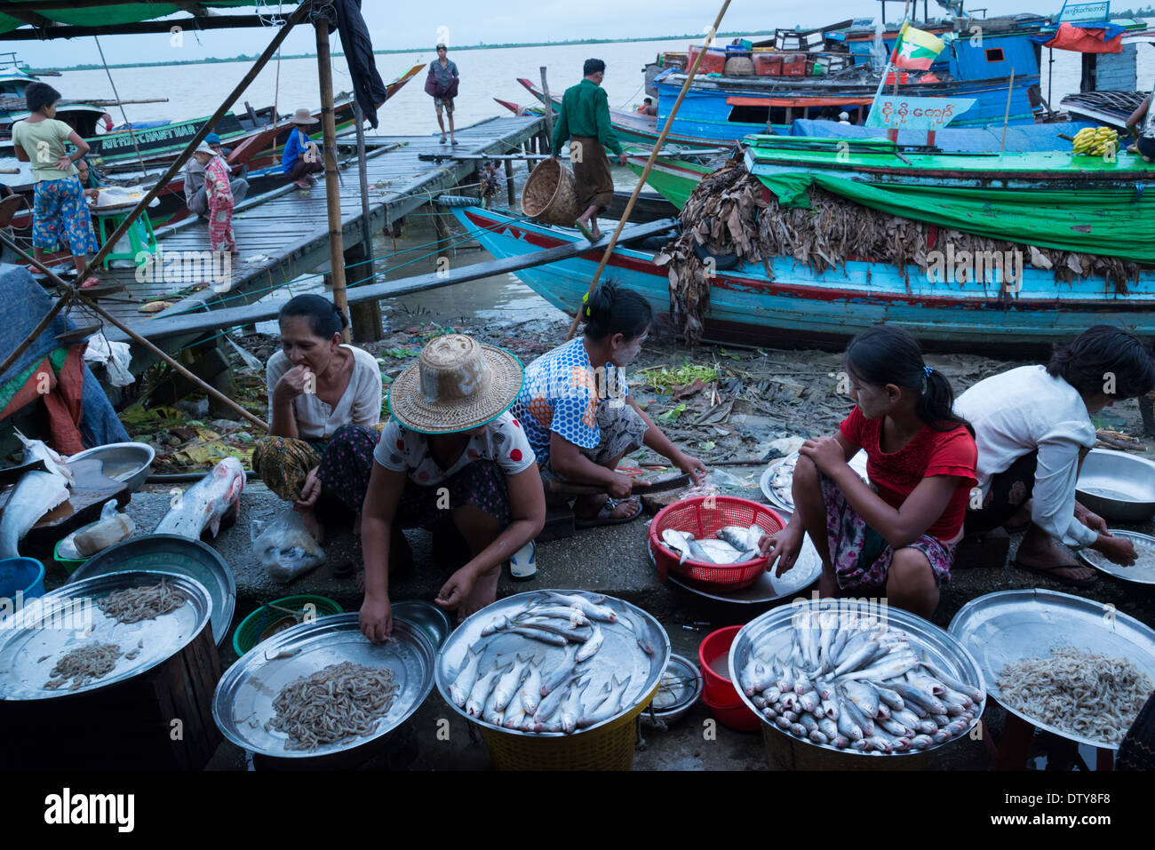 Frauen verkaufen Fisch auf einem Steg. Labutta Markt. Irrawaddyi Abteilung. Myanmar (Burma). Stockfoto