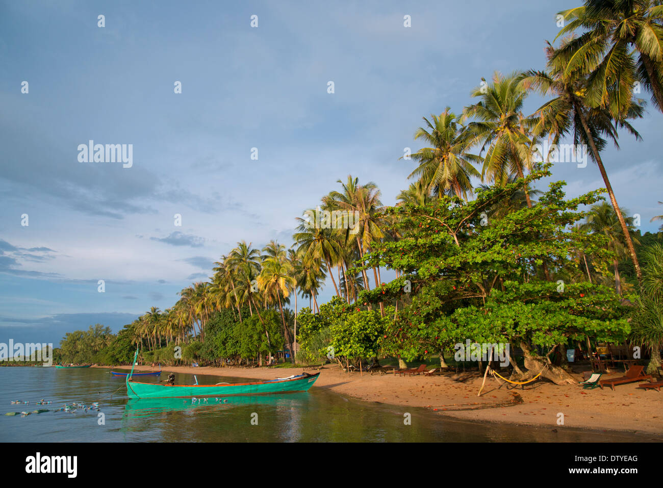 Strand und Kokos Bäume im Rabbit Island. KEP. Kambodscha. Stockfoto