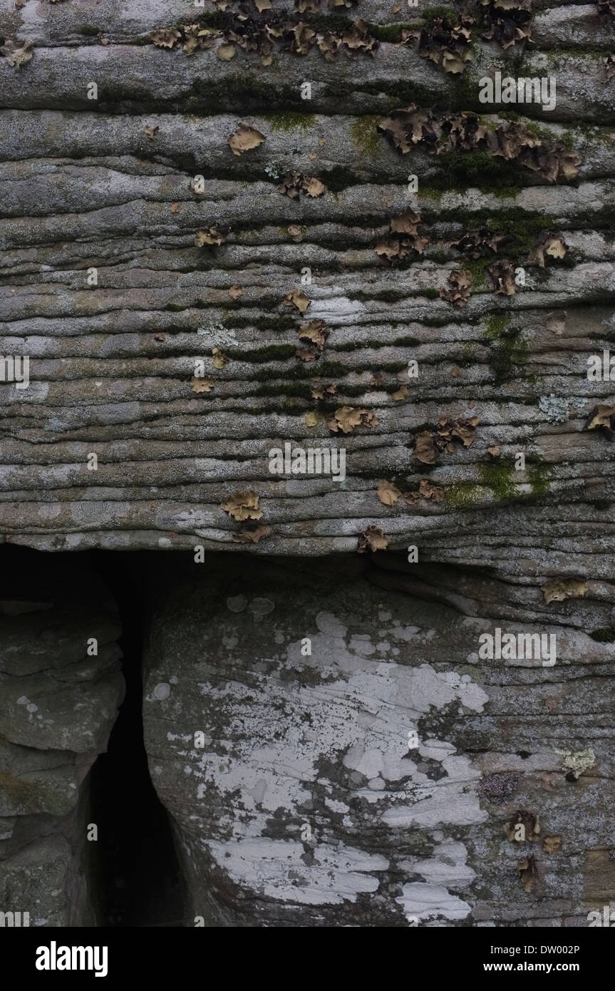 Blauer Stein, Felsen, Schichten, Catskills, Woodstock NY Stockfoto