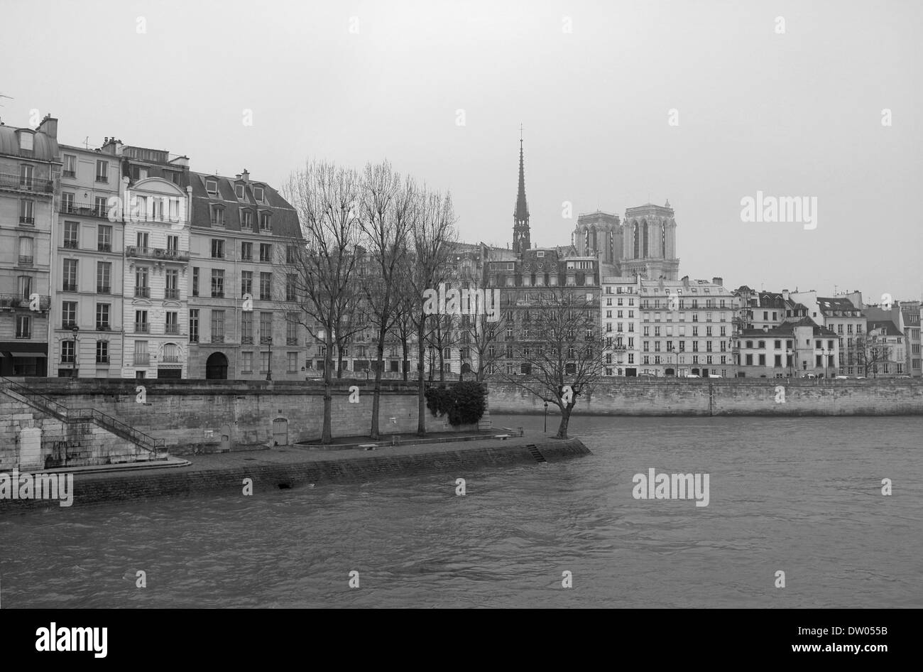 Ufer, Paris, Ufer der Seine, Frankreich, Notre-Dame Stockfoto