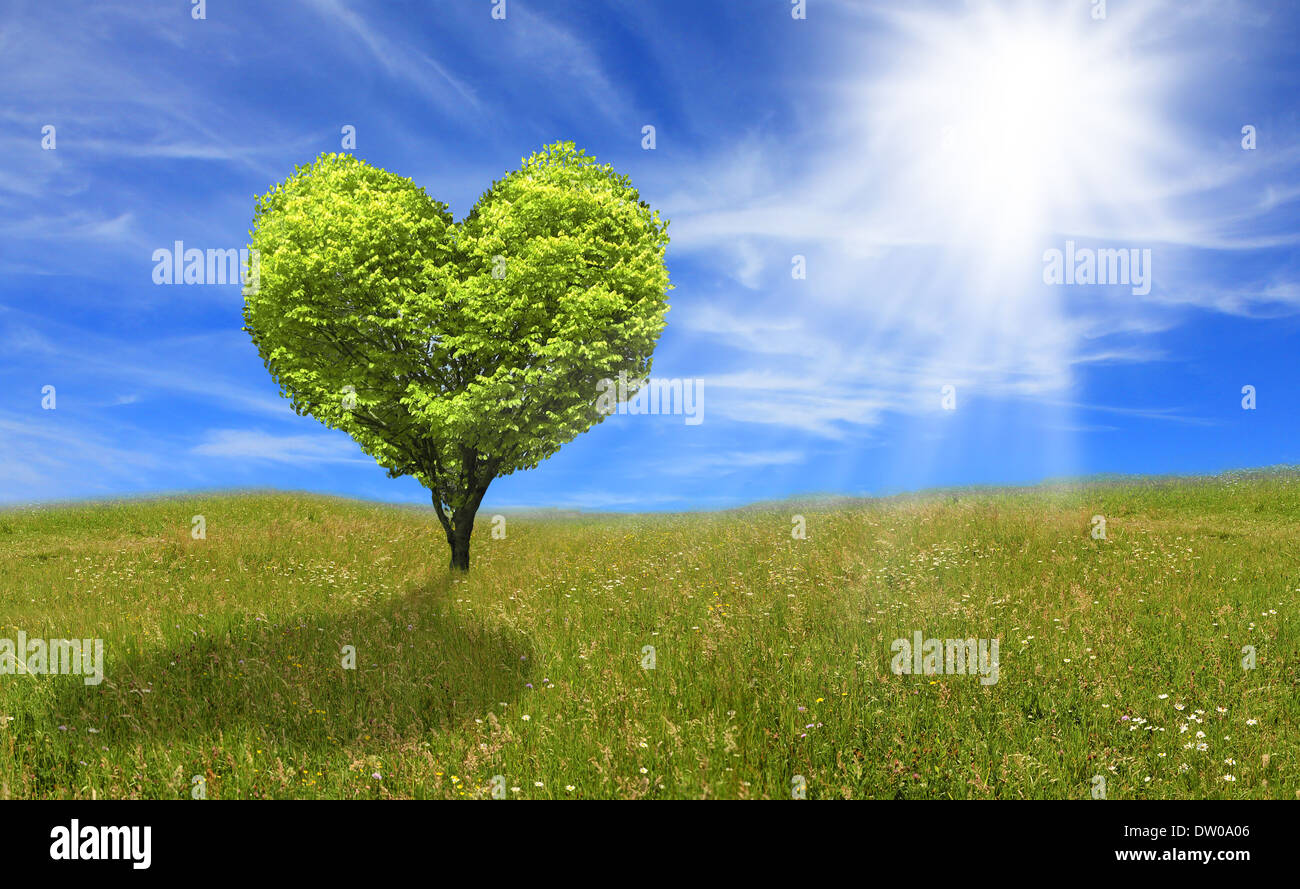 Baum in Form von Herzen, Eco-Konzept. Stockfoto