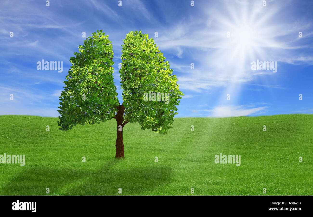 Baum in Form von Lunge, Eco-Konzept. Stockfoto