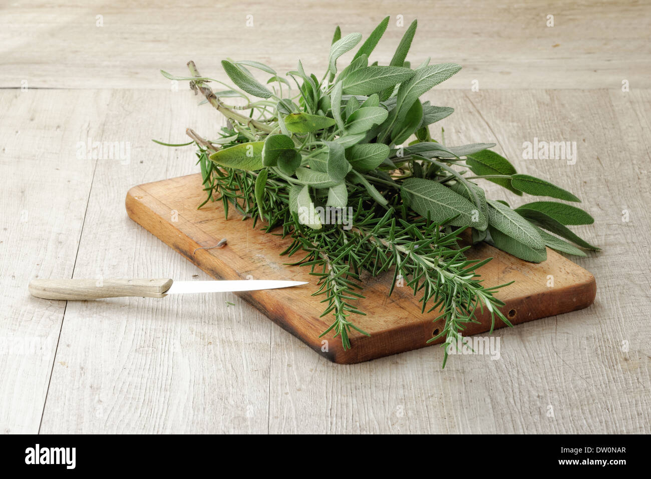 Salbei und Rosmarin auf einem Holzbrett Kochen Stockfoto