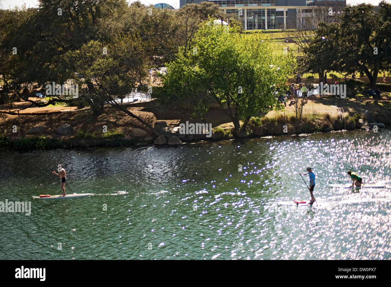 Stand up Paddel auf Lady Bird Lake, Austin, Texas Stockfoto