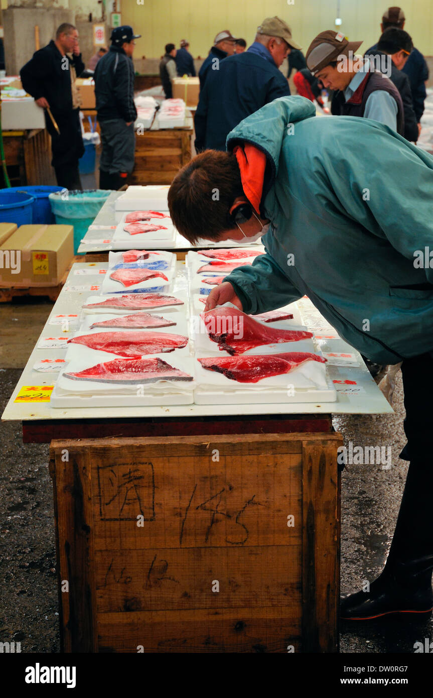 Scheiben von Fleisch von Prime, den Thunfisch auf der Tsukiji Thunfisch Auktion geprüft werden, wenige Minuten vor Beginn der Auktion. Stockfoto