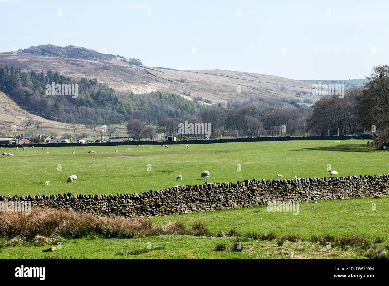 Cumbria UK englische Landschaft Wiese Feld Stockfoto