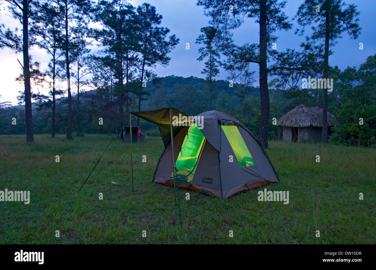 Camping in der Belizes Mountain Pine ridge Stockfoto