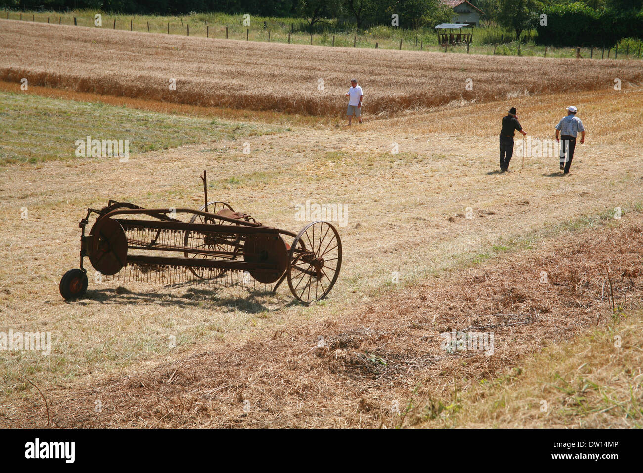 Bauern in einem Feld mit alten landwirtschaftlichen Geräten, Frankreich Stockfoto