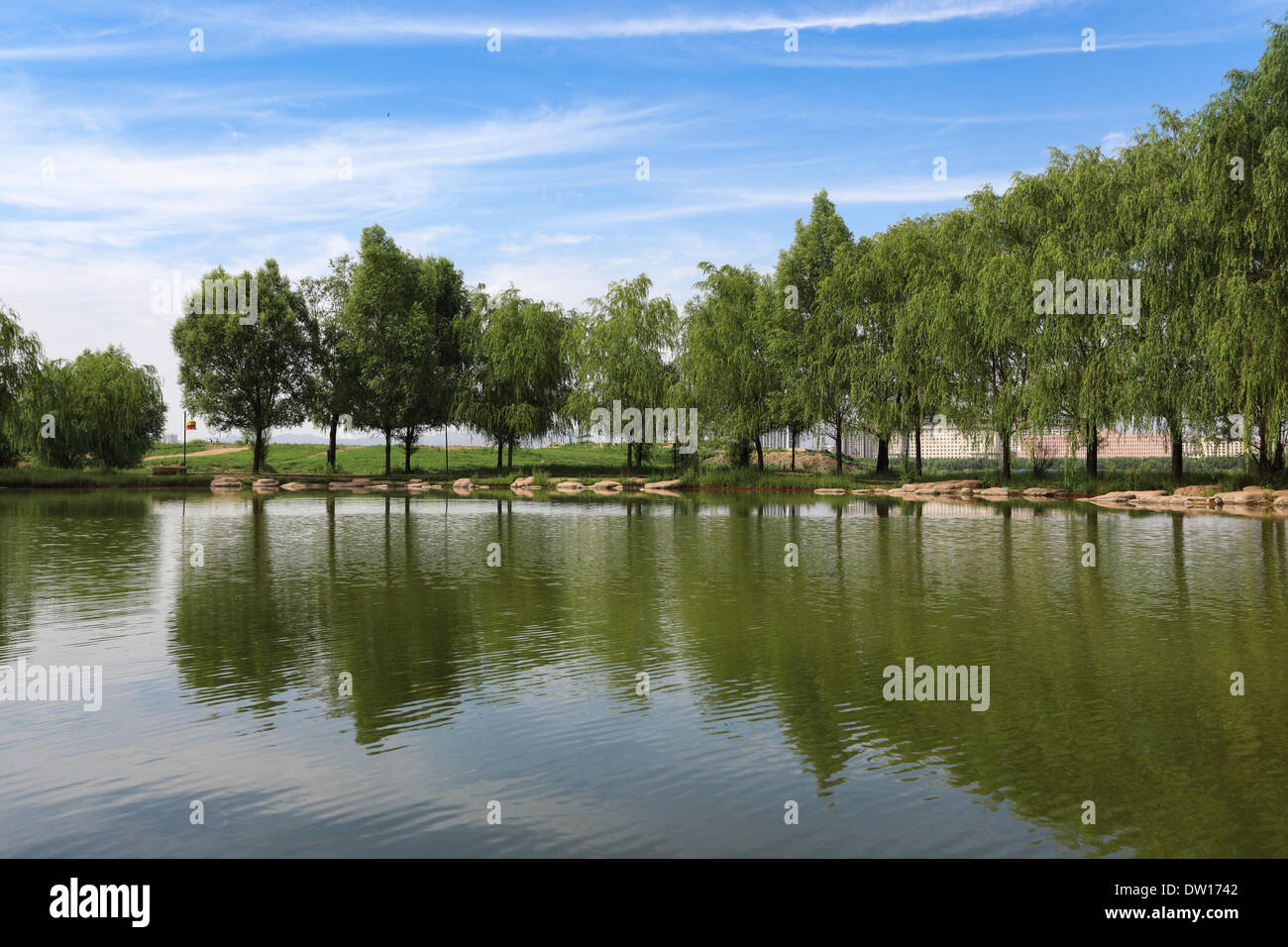 Teich im Stadtpark Stockfoto
