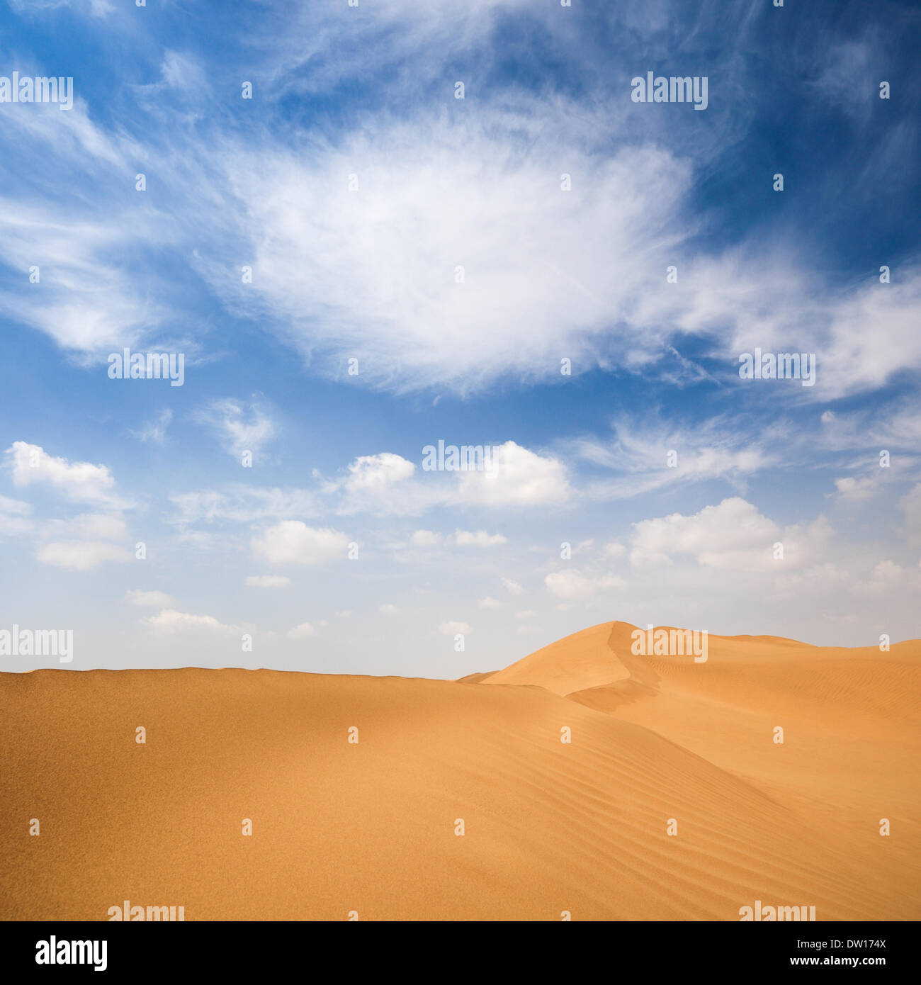 Sandwüste Stockfoto