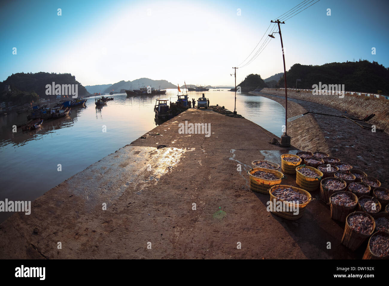 Fischerei-Hafen am Morgen Stockfoto