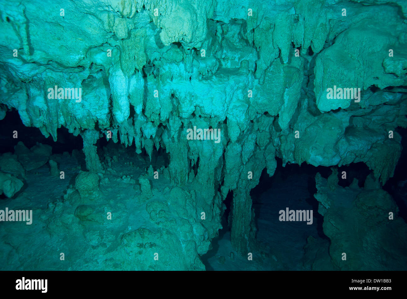 Felsformationen im Unterwasser Grand Cenote, Halbinsel Yucatan, Mexiko Stockfoto