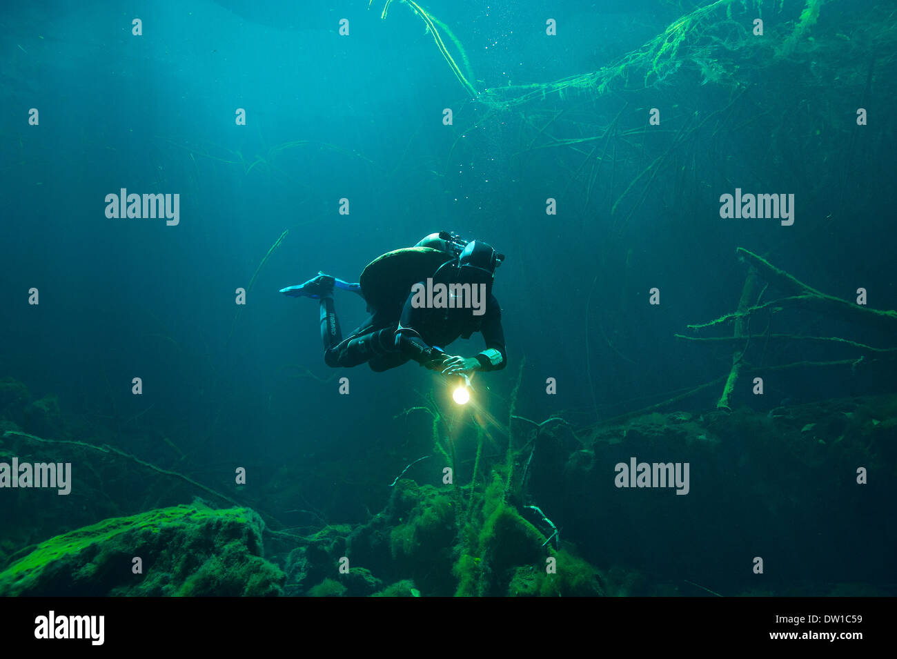 Taucher schwimmen durch die Unterwasserhöhle Eden Cenote, Halbinsel Yucatan, Mexiko Stockfoto