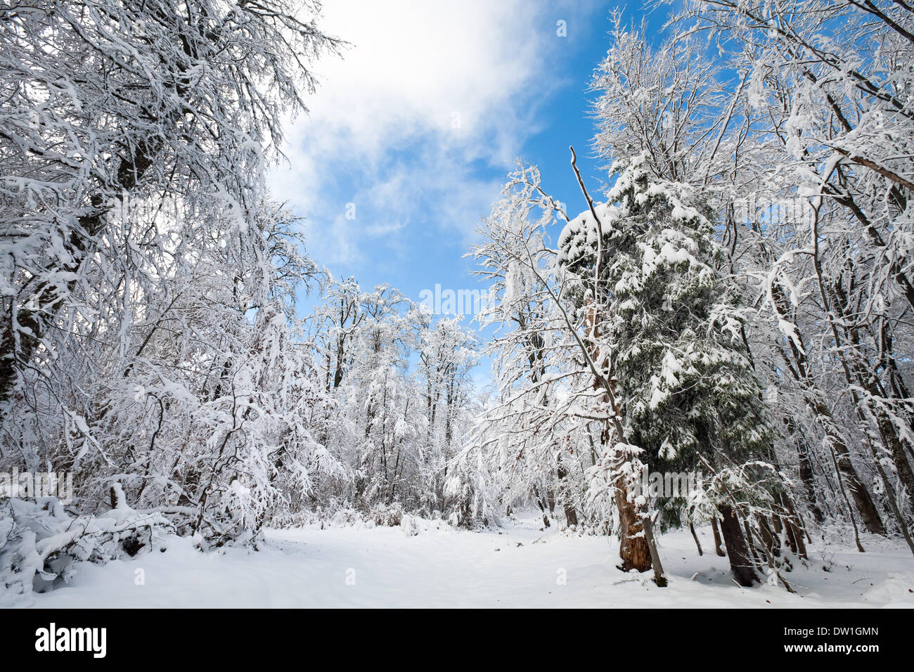 Verschneiten Winter earthroad Stockfoto