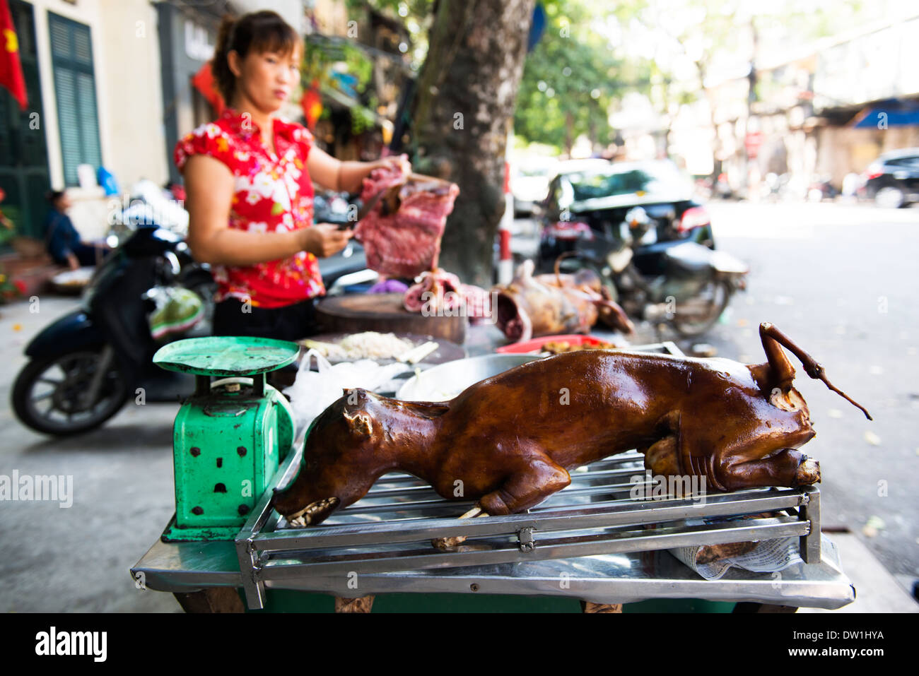 ganze Hunde Fleisch zum Verkauf (Thit Cho), Hanoi, Vietnam. Stockfoto