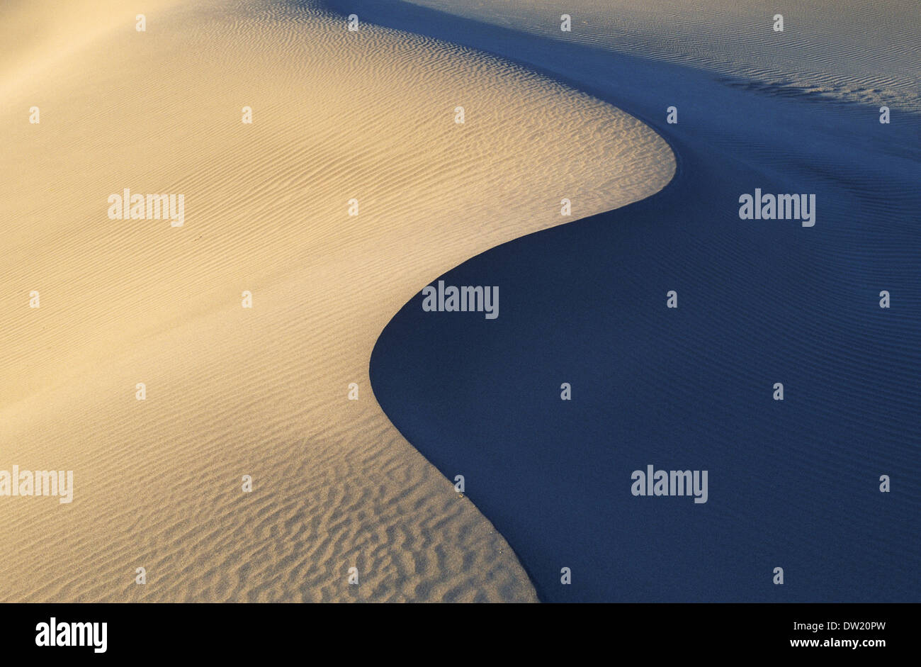 Elk248-2263 Kalifornien, Death Valley Nationalpark, Stovepipe Wells, Sanddünen Stockfoto