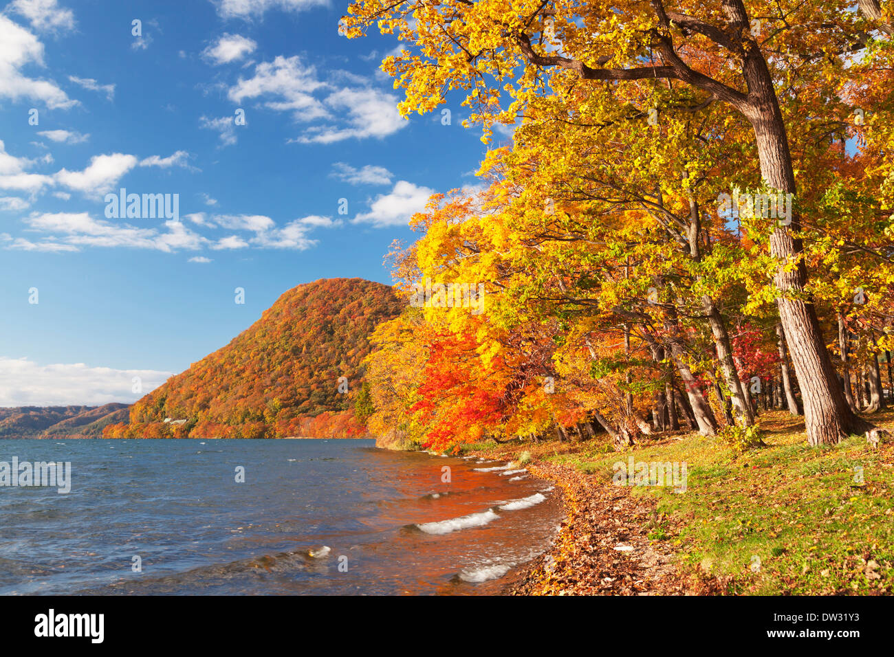 Herbst am See Toya, Hokkaido Stockfoto