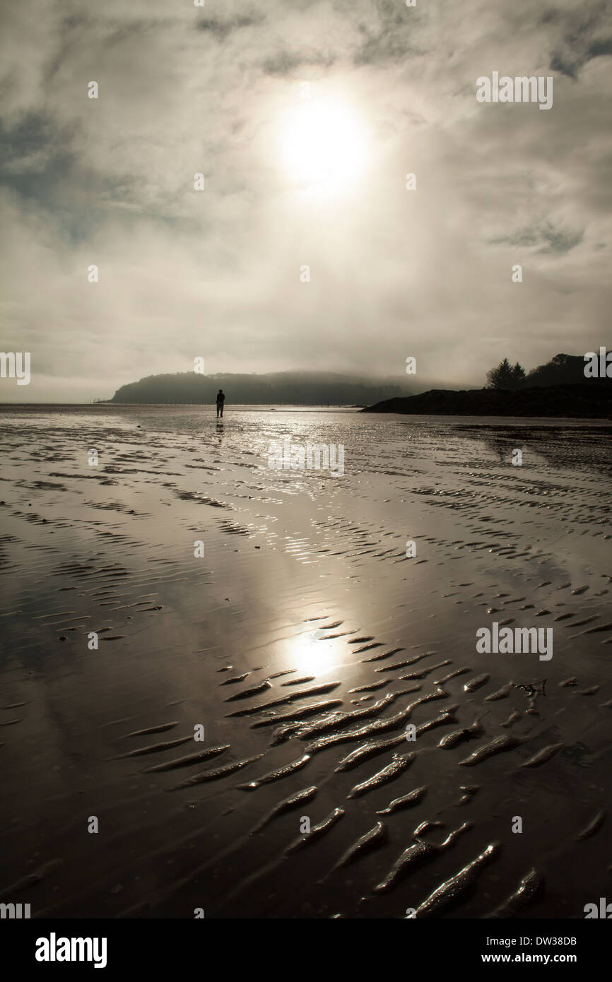 Ein nebliger atmosphärischen Morgen am Solway Firth-Küste. Fuß entlang der Kante des Auchencairn Bay entlang nach Balcary Bay Stockfoto