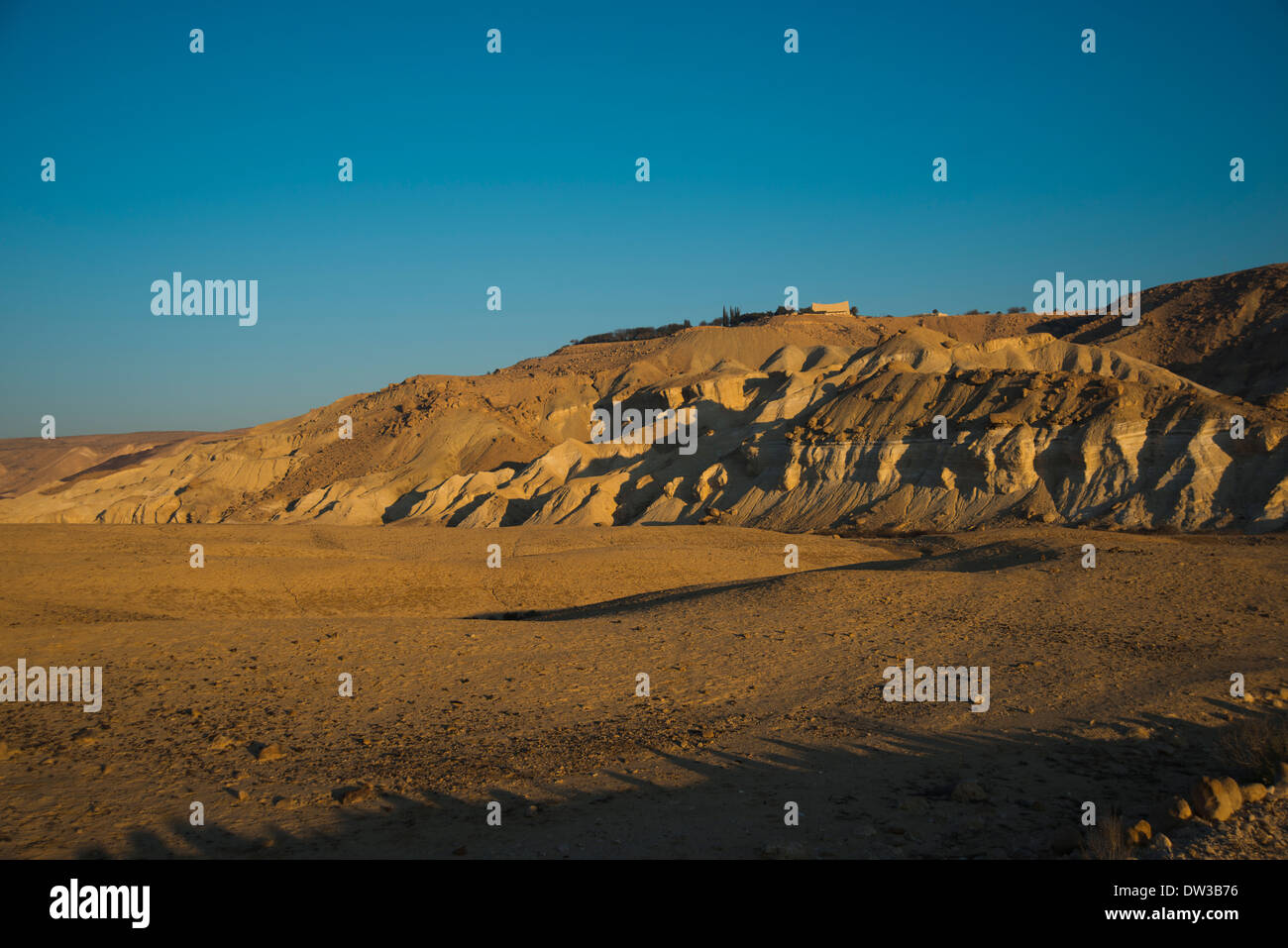 Negev-Wüste, Wadi Zin Wüste Zin, Israel Stockfoto