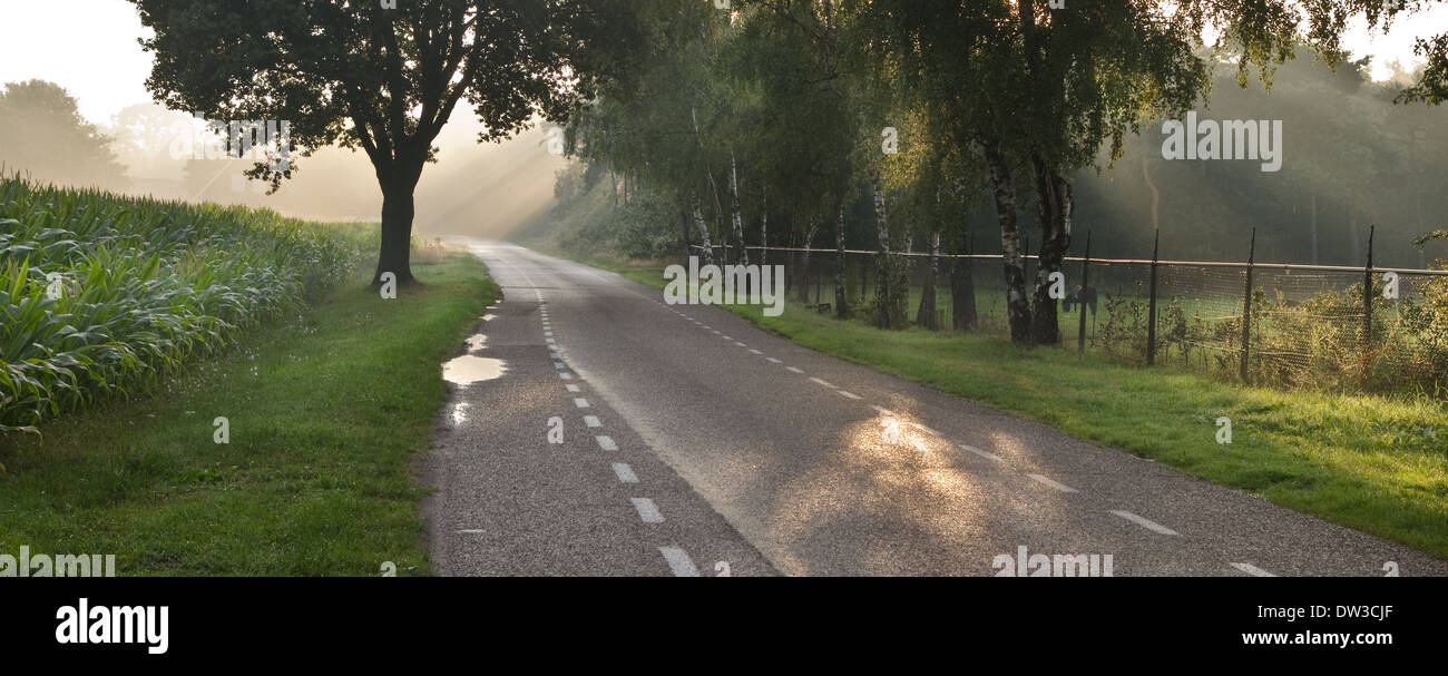 Pano niederländischen Agrarlandschaft mit Sonnenstrahlen bei Sonnenaufgang Stockfoto