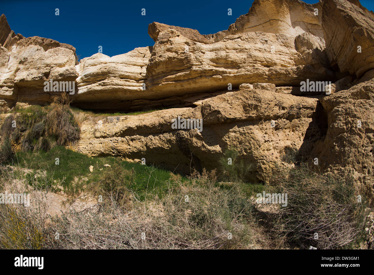 Negev-Wüste, Wadi Zin Zin, Israel, Gev Zarchan Wildnis Stockfotografie