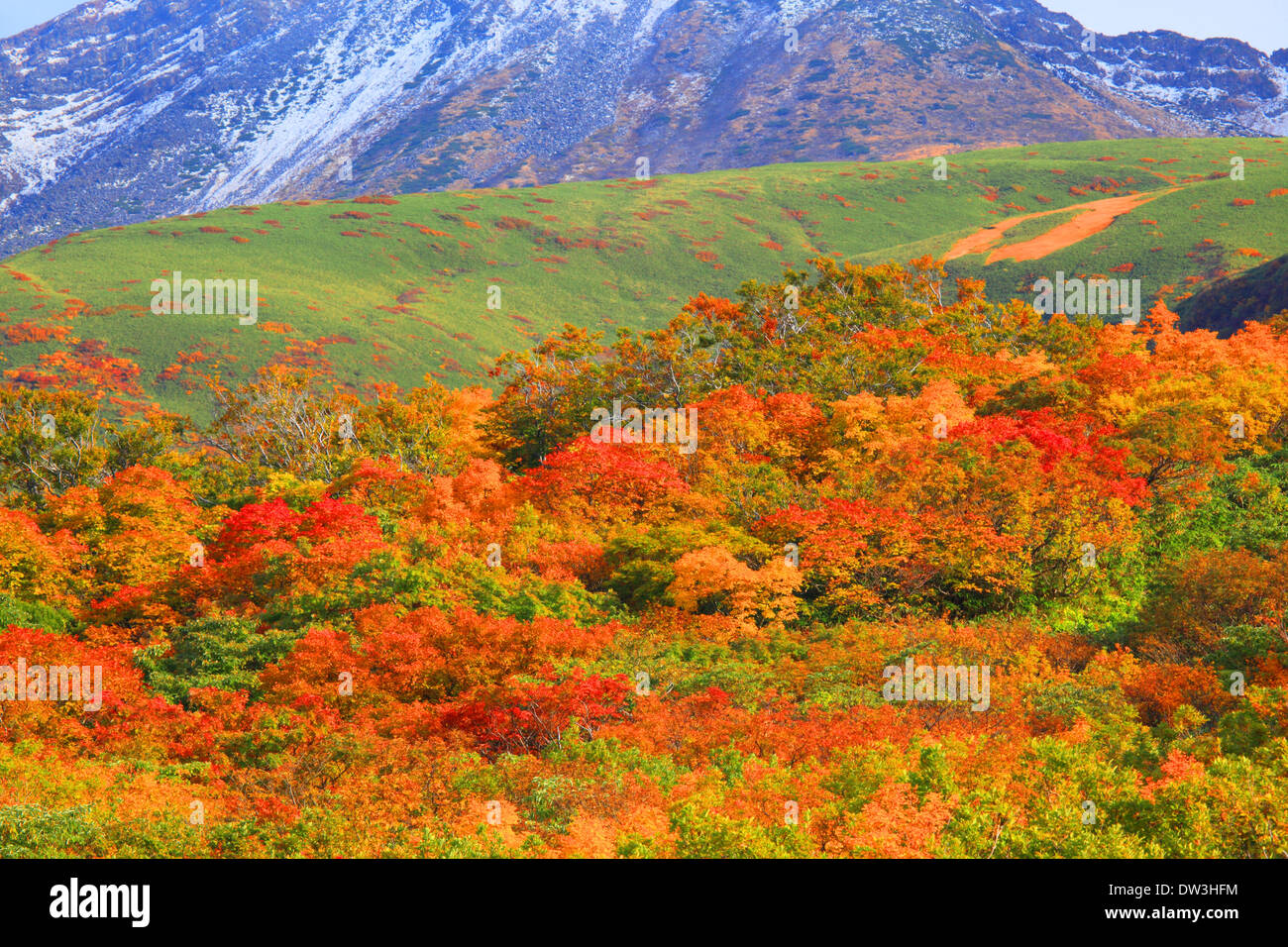 Mount Aromakomponenten, Präfektur Yamagata Stockfoto