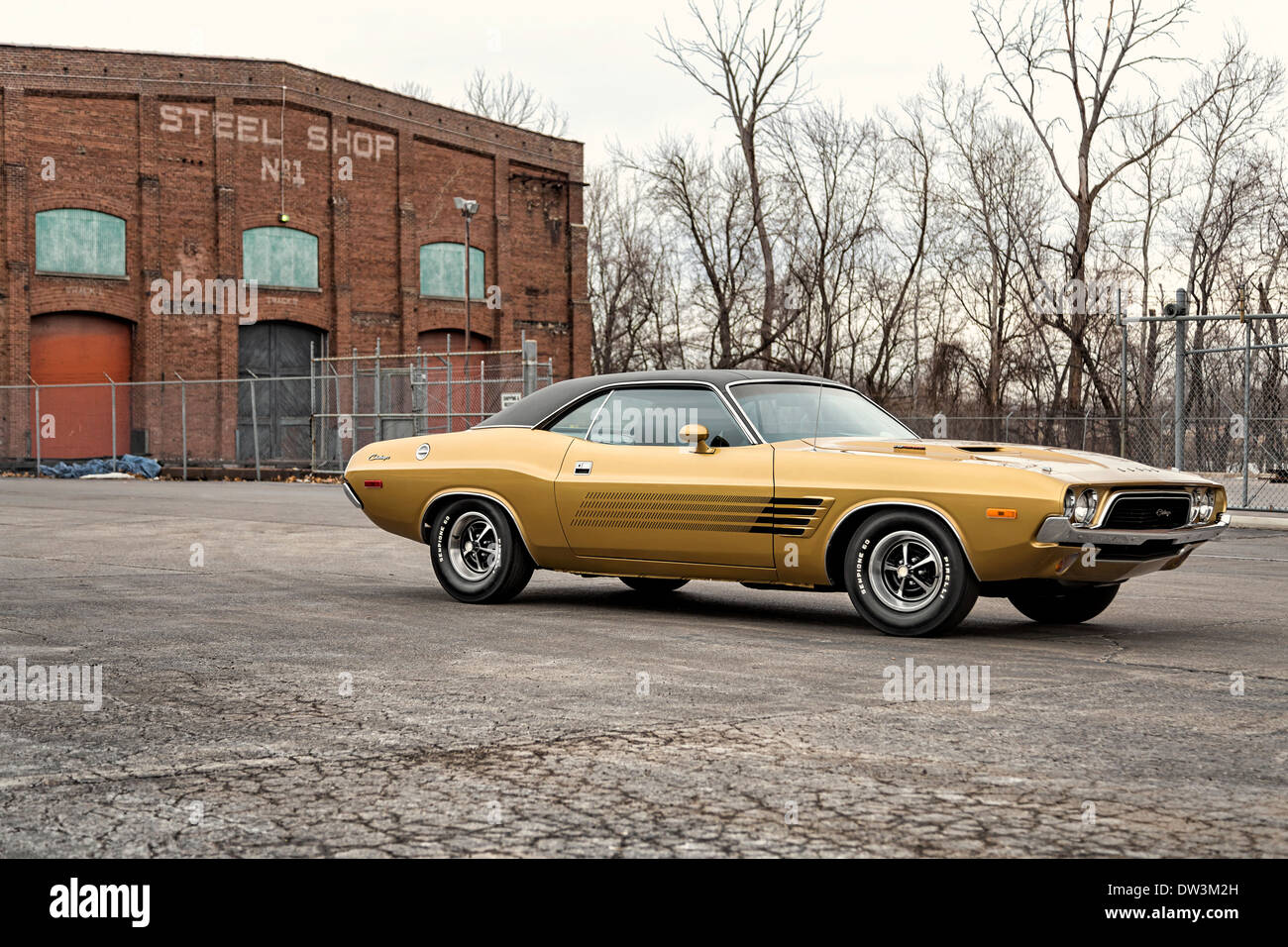 1973 Dodge Challenger Stockfoto