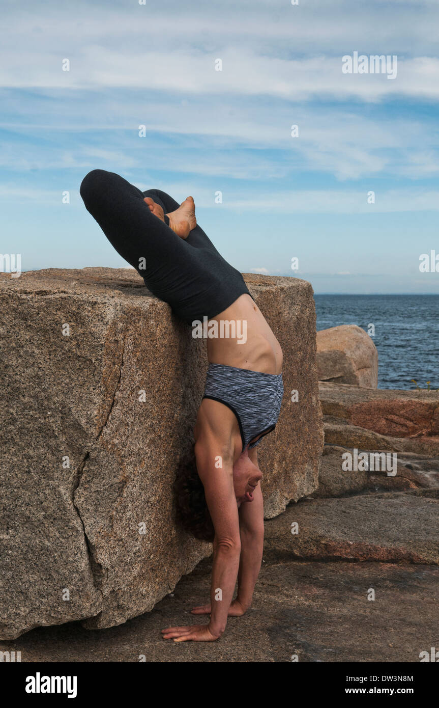 Iyengar®-Yoga-Lehrer zeigt Adho Mukha Vriksasana Padmasana (invertiert). Stockfoto