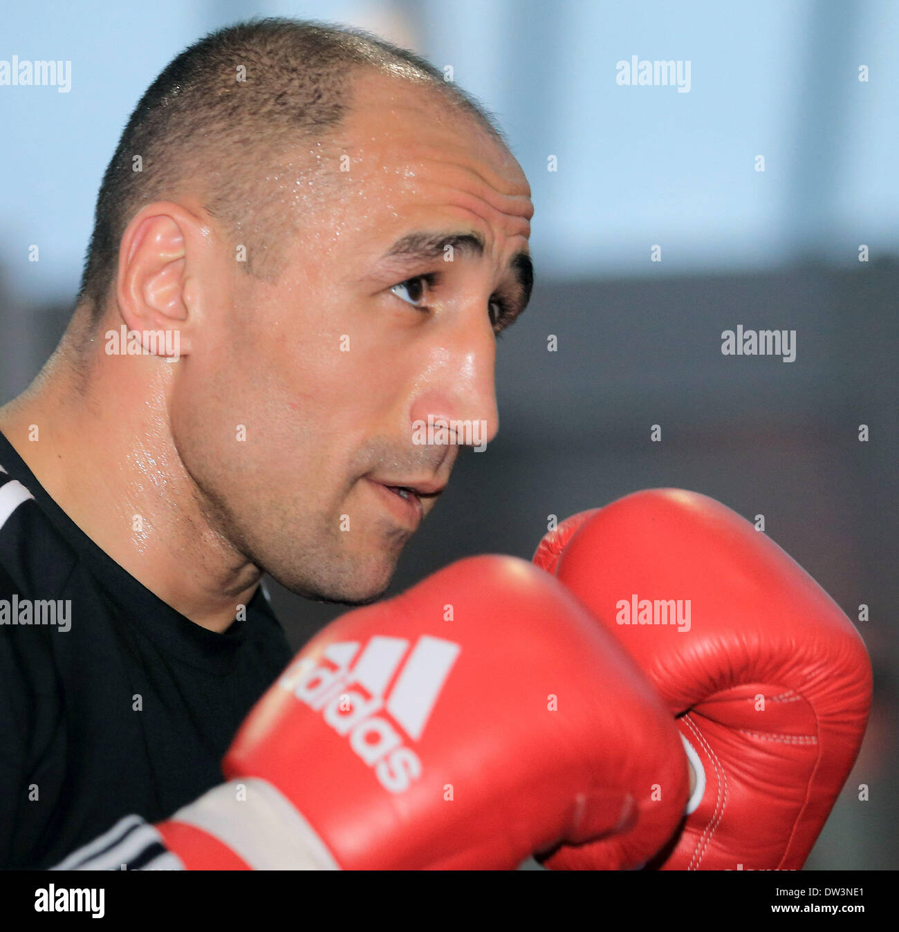 Boxer Arthur Abraham während des offiziellen Trainings in Magdeburg, Deutschland, 1. März 2014. Er wird kämpfen, um am 1. März 2014 seinen WBO-WM-Super-Mittelgewichts-Titel zu verteidigen. Foto: JENS WOLF Stockfoto