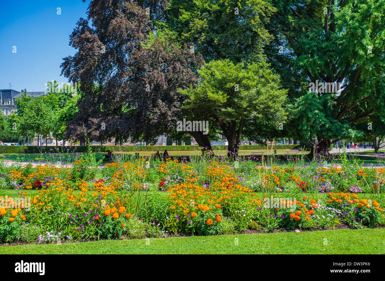 Blume Betten Place De La République quadratische Straßburg Elsass Frankreich Stockfoto