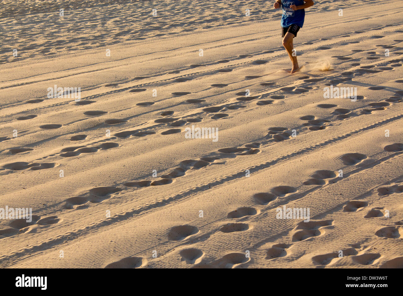 Fußspuren und Reifenspuren im Sand in der Morgendämmerung mit Läufer in der oberen Ecke des Rahmens Norden Steyne Strand Manly Sydney NSW Australia Stockfoto
