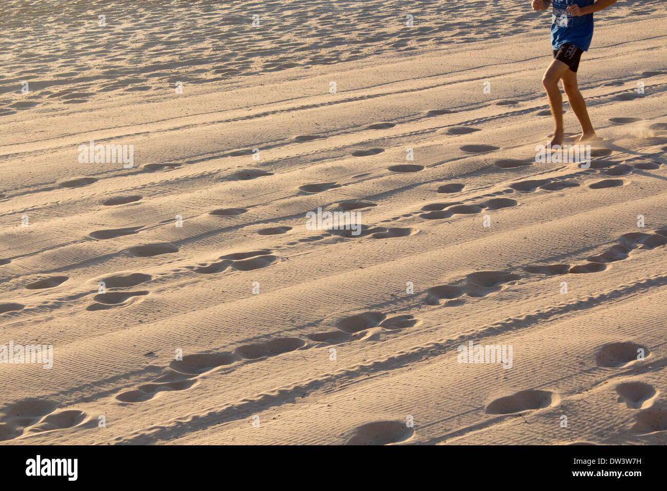 Fußspuren und Reifenspuren im Sand in der Morgendämmerung mit Läufer in der oberen Ecke des Rahmens Norden Steyne Strand Manly Sydney NSW Australia Stockfoto