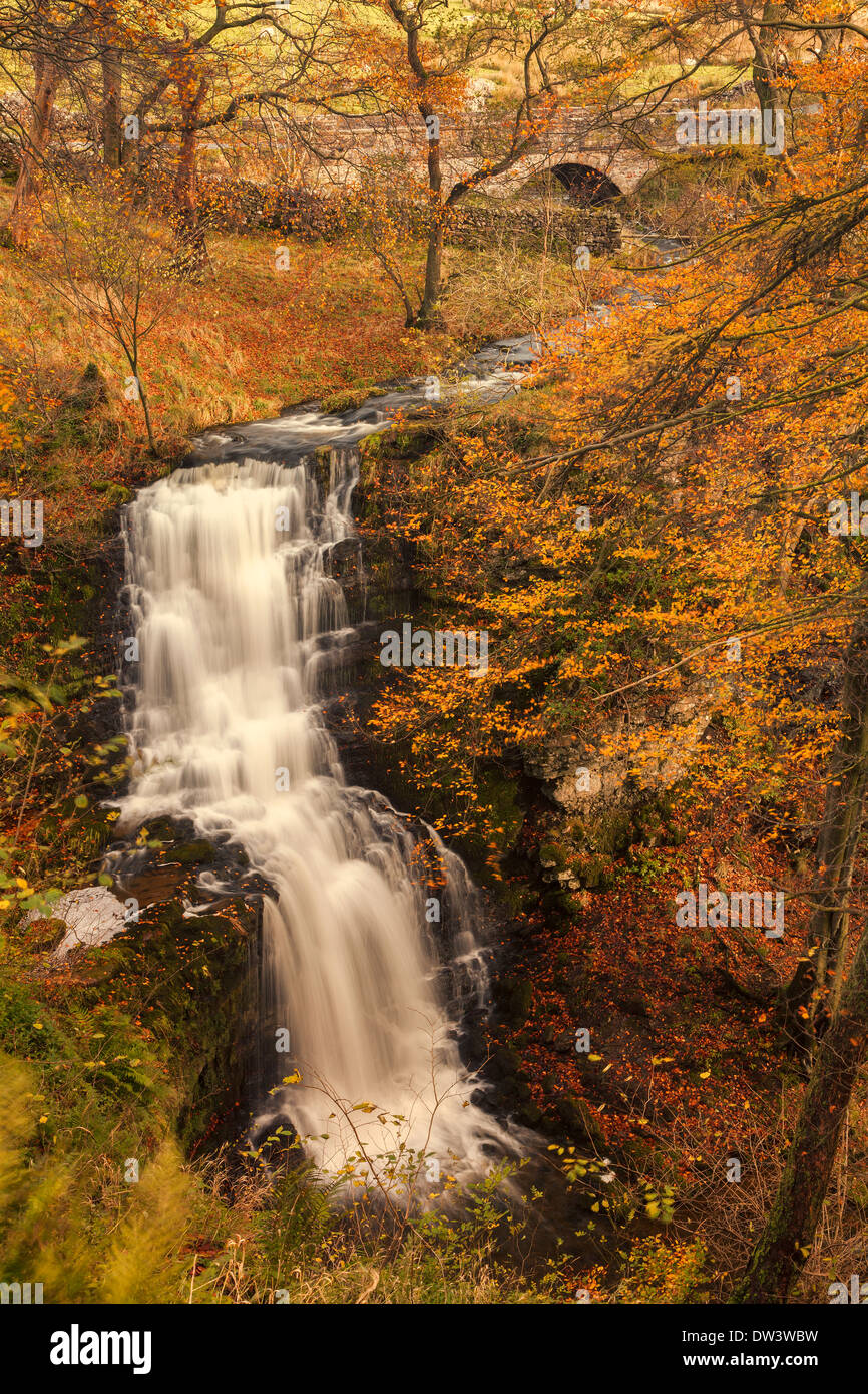 Scaleber Kraft Herbst Wasserfall Yorkshire dales Stockfoto