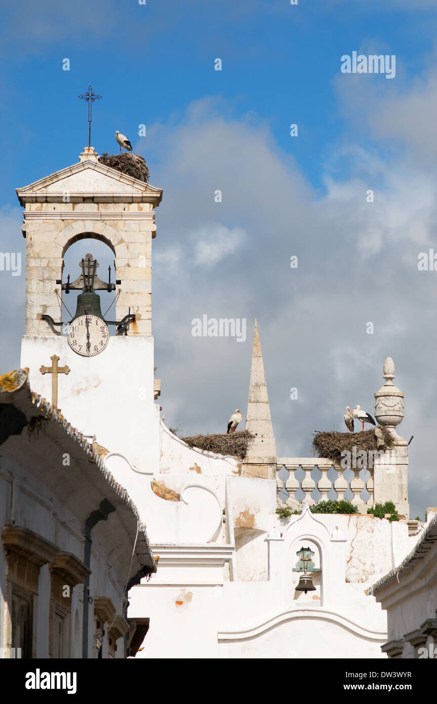 Störche nisten auf der Arco Da Vila Farol, Algarve, Portugal Stockfoto
